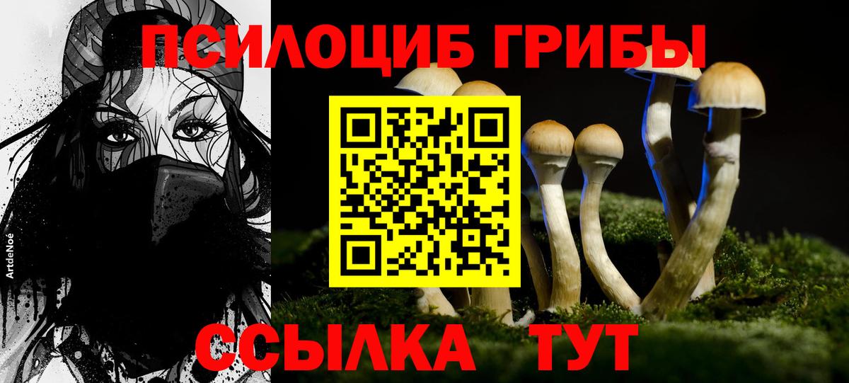 Псилоцибиновые грибы ЛСД Алатырь