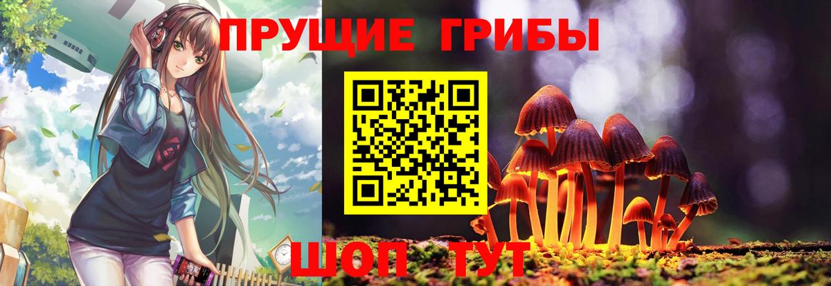Галлюциногенные грибы Cubensis  Галлюциногенные грибы ЛСД  Алатырь  Вход с VPN 